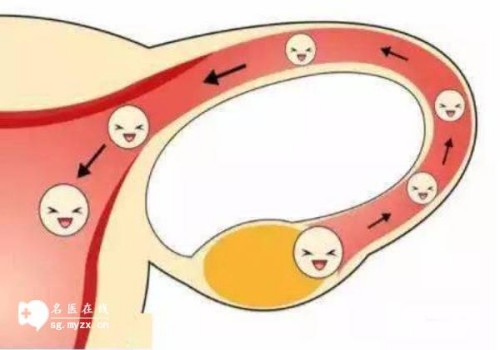 四维彩超也能看出胎儿性别，男孩女孩有这四方面区别